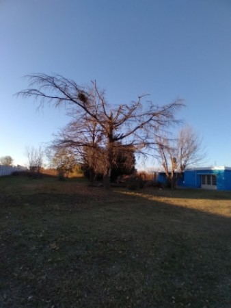DESARROLLISTAS | VILLA RETIRO | TERRENO 1 HECTÁREA