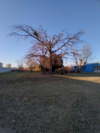 DESARROLLISTAS | VILLA RETIRO | TERRENO 1 HECTÁREA